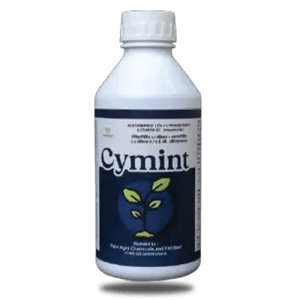 Cymint