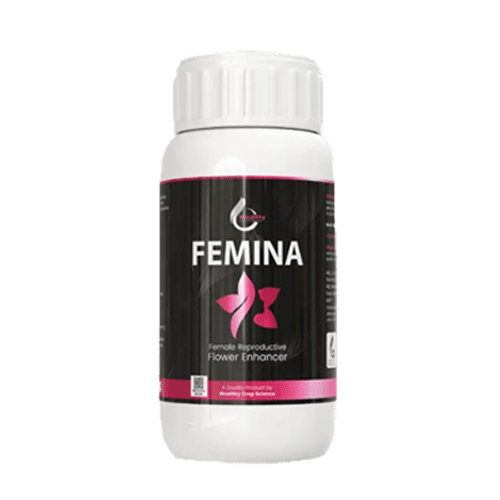 Femina