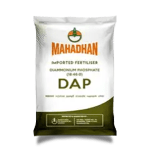 Mahadhan-DAP