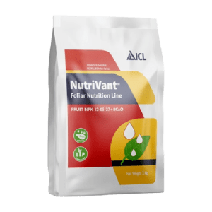 NutriVant Fruits