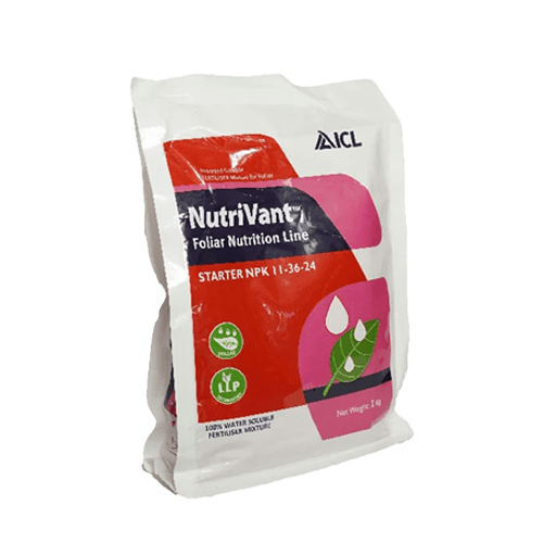 NutriVant Starter