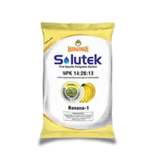 Solutek Banana 1